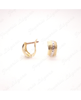 PENDIENTES 18KT BICOLOR+CIRCO. CAT.                                                                 