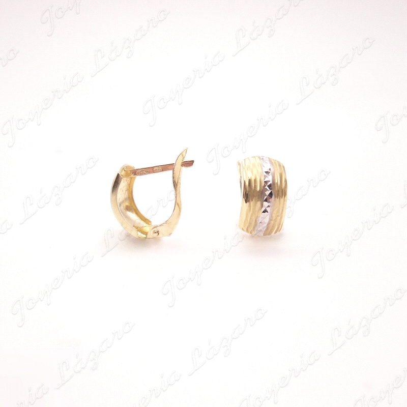 PENDIENTES 18KT BICOLOR+CIRCO. CAT.                                                                 