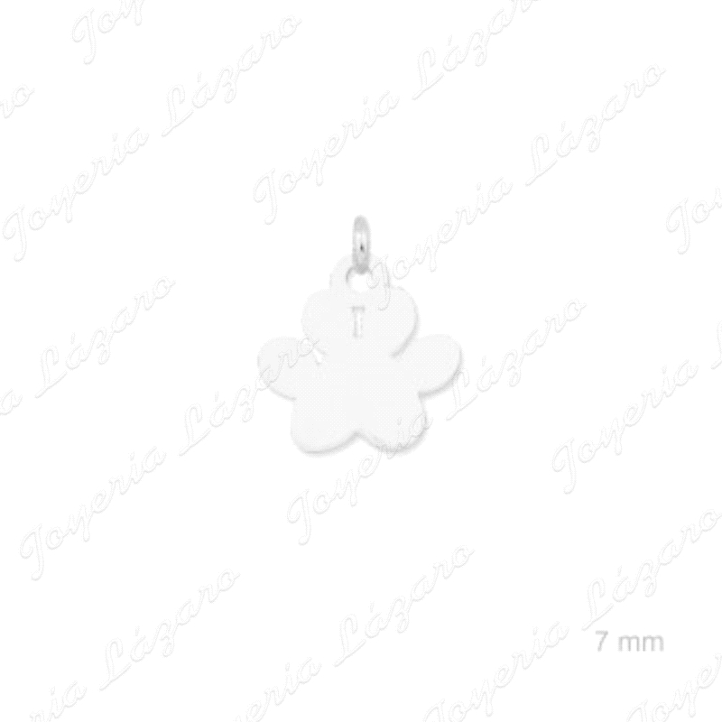 COLGANTE PLATA CHARMS HUELLA MASCOTA                                                                