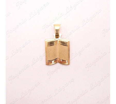 PLACA ORO 18 KTS PERGAMINO LIBRO MATE                                                               