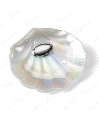 CONCHA BAUTIZO ARTICULO DE REGALO M,PERLA PLACA OVAL LISA