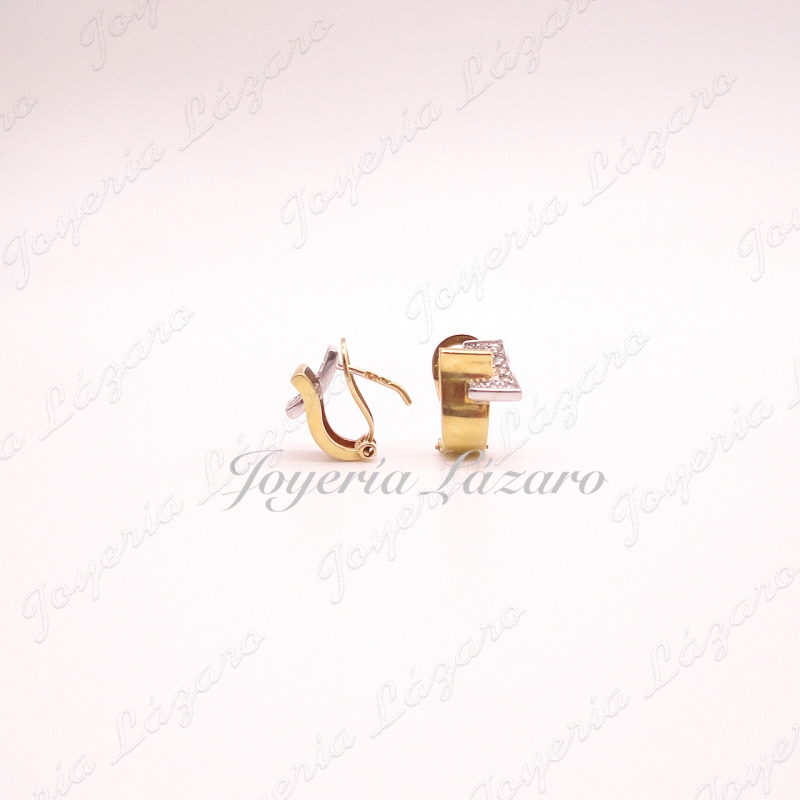 PEND. 18KTS OMEGA BICOLOR CIRCO.