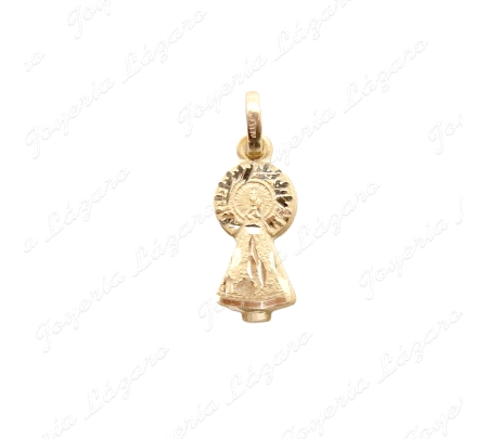 MEDALLA ORO 18 KTS VIRGEN DEL PILAR PILARICA  16MM