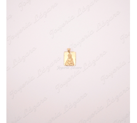 MEDALLA/PLACA 18KTS VIRGEN