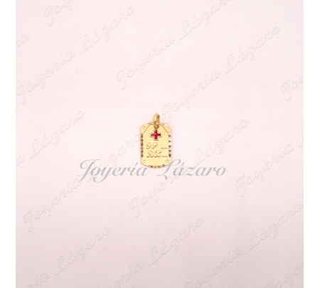 COLGANTE 18KTS PLACA RH PEQUE