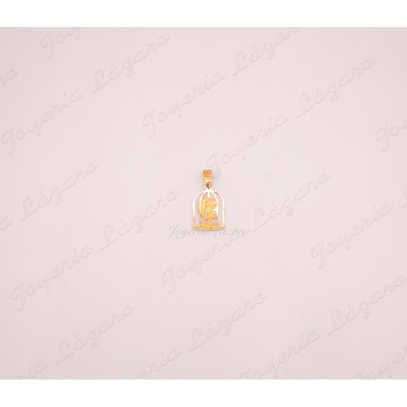 COLGANTE 18KTS JAULA PIOLIN