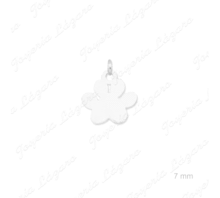 COLGANTE PLATA CHARMS HUELLA MASCOTA