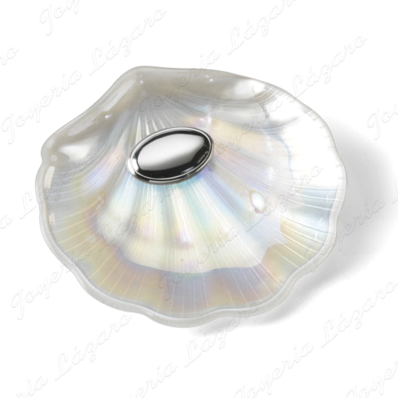 CONCHA BAUTIZO ARTICULO DE REGALO M,PERLA PLACA OVAL LISA