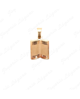 PLACA ORO 18 KTS PERGAMINO LIBRO MATE