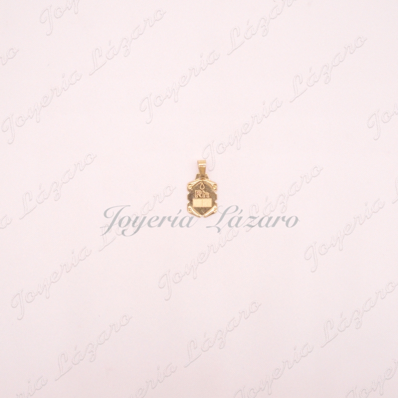 ORO 18 KTS PLACA RH PEQUE