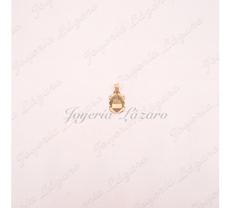 ORO 18 KTS PLACA RH PEQUE