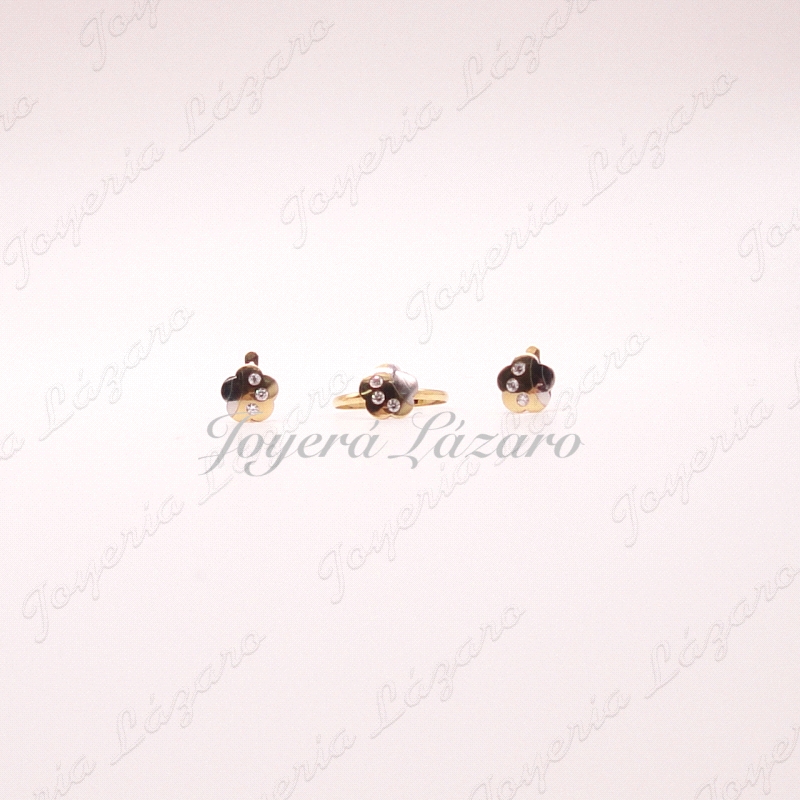 JUEGO PEN+SOR 18KT  FLOR BICOLOR 3 CIRCO C.CAT.