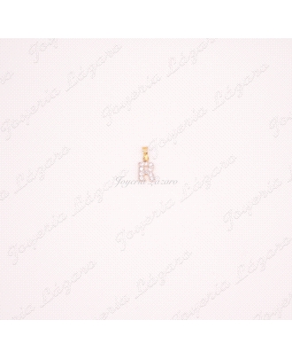 COLGANTE 18KTS LETRAS MITAD CIRCO C