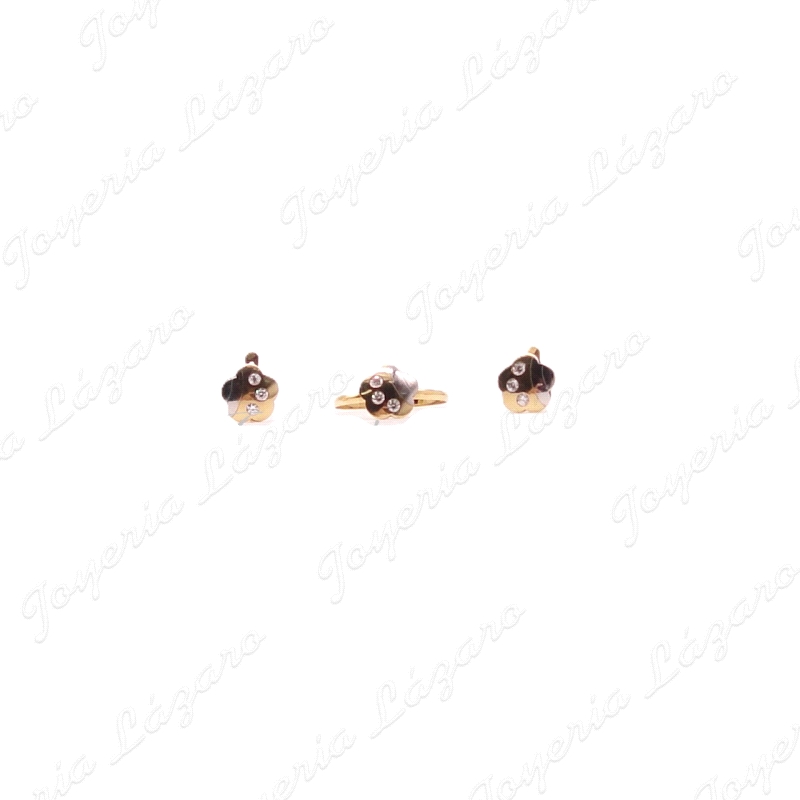 JUEGO PEN+SOR 18KT  FLOR BICOLOR 3 CIRCO C.CAT.