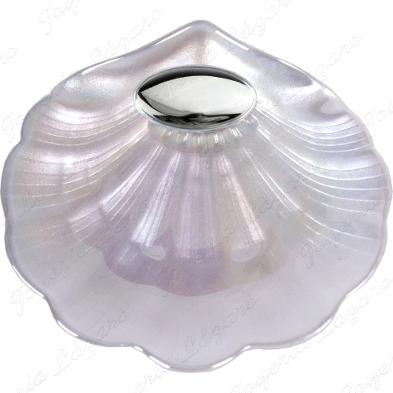 CONCHA BAUTIZO CRISTAL ARTICULO DE REGALO                                                           