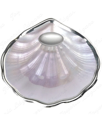 CONCHA BAUTIZO CRITAL NACAR BORDE PLATEADO ARTICULO DE REGALO                                       