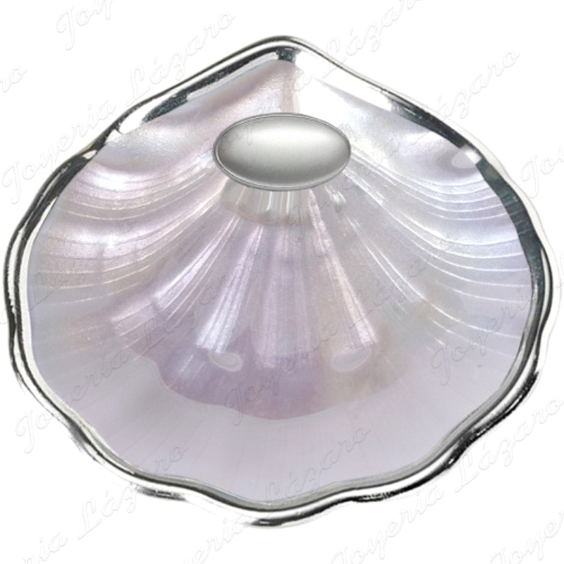 CONCHA BAUTIZO CRITAL NACAR BORDE PLATEADO ARTICULO DE REGALO                                       